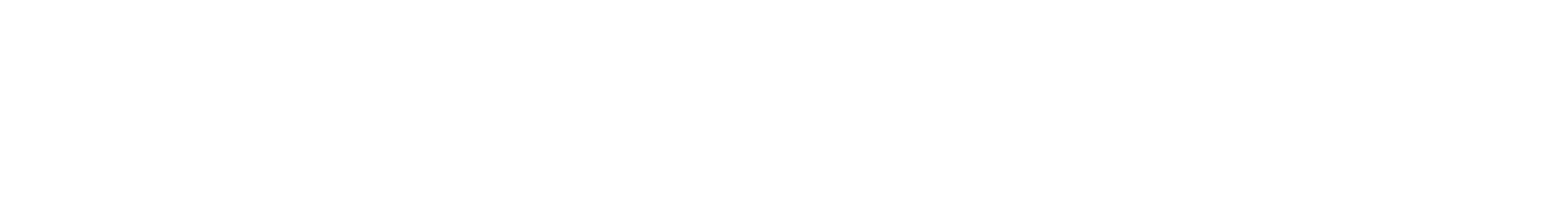RainoxBags